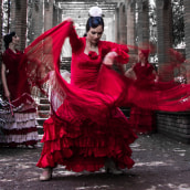 Flamenco. Photograph project by Carola Etchepareborda - 04.27.2014