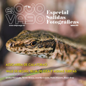 Revista El Ojo Vago. Fotografia, e Design editorial projeto de Álvaro Díez Viñas - 03.09.2014