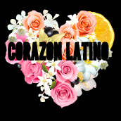 Packaging Corazón Latino Perfume. Br, ing e Identidade, Design gráfico, Packaging, e Design de produtos projeto de Maria Clares Gonzalez - 15.10.2014
