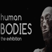 Human Bodies. Cinema, Vídeo e TV projeto de Pixelecto - 14.08.2014