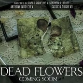Dead Flowers. Un proyecto de Música de Adrià Sempere Azorin - 07.11.2014