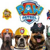 paw patrol. Animação projeto de Luis Giovanni Castillo Castro - 07.12.2014