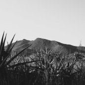 Desert. Un proyecto de Fotografía de Anna Peletero - 13.01.2015