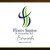 Flores Santos & Asociados. Web Design projeto de Violeta Farías - 12.05.2012