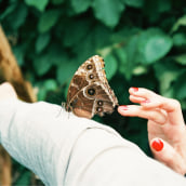 How to care butterflies. Un proyecto de Fotografía de Guillermo de la Torre - 10.02.2015