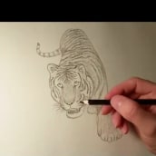 Korean tiger. Ilustração tradicional, e Vídeo projeto de Julian Gracia - 12.03.2015