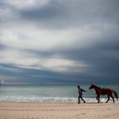 Reportaje - en caballo por la playa. Un proyecto de Fotografía, Educación, Eventos y Paisajismo de Jolanta Mazu - 17.03.2015