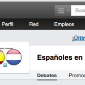 Linkedin - Grupo Españoles en Holanda. Marketing project by Alvaro Galindo Martinez - 02.09.2012