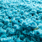 3000 Sant Jordi Folded Flowers. Arts, Crafts, and Design project by Fábrica de Texturas - 04.22.2015