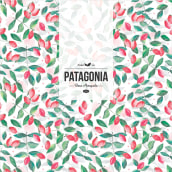 PATAGONIA - herbal tea. Design, Br, ing, Identit, and Graphic Design project by Carolina Krieger - 07.01.2015