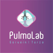 Pulmolab - Diseño y Desarrollo Web. Un progetto di Web design e Web development di Rodrigo Gomez - 16.07.2015