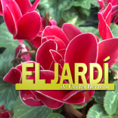 El jardí de Carles Herrera - 8Tv. Photograph, Post-production, and TV project by Jordi Cortés Picas - 10.22.2015