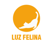 Luz felina. Br e ing e Identidade projeto de Nerea Suárez - 01.12.2015