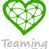Teaming . Web Design projeto de Judit Pop N' Pink - 16.01.2013