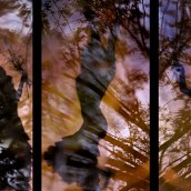 Solea en el bosque. Un proyecto de Dirección de arte, Escenografía y Vídeo de David Rey - 07.01.2016