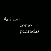 ADIOSES COMO PEDRADAS. Video project by Eder Reguera Fernández - 02.02.2016