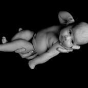 Newborn. Fotografia projeto de José Luis Vilar Jordán - 19.04.2016