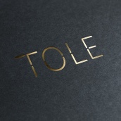 TOLE - Branding. Un proyecto de Diseño, Dirección de arte, Br, ing e Identidad y Diseño gráfico de Marina Oorthuis - 07.10.2015