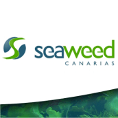 Website Seaweed Canarias. Marketing, and Web Design project by Gabriel Guerrero Espino - 09.05.2008
