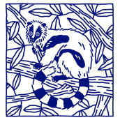 Lemur illustration. Ilustração tradicional projeto de Montse Galbany Armengol - 23.11.2016