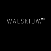 Best of Walskium Studio (Video Reel 2017). Film, Video, and TV project by Walskium Studio - 11.01.2017
