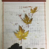 Mi Proyecto del curso: "Cuaderno del huerto". Artes plásticas projeto de Encarna Gallego - 11.01.2017