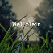 Wellblein Website. Un proyecto de UX / UI, Diseño interactivo, Diseño Web y Desarrollo Web de NO — CODE - 16.01.2017