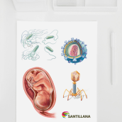 Santillana España (libros de Biología). Traditional illustration, and Graphic Design project by Giselle P Vitali Di Maria - 04.30.2016