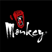 Monkey Sports. Un proyecto de Br, ing e Identidad y Diseño gráfico de Santiago Henao Montoya - 10.02.2012