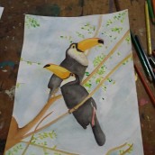 Tucanes. Ilustração tradicional, Artes plásticas, e Pintura projeto de Sabri Mazz - 11.02.2017