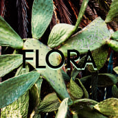 FLORA. Photograph project by Javier Calvete García - 10.17.2017