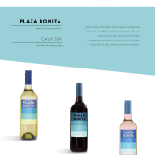 Packaging vino Ein Projekt aus dem Bereich Verpackung von Fátima Gonzalez Rancaño - 10.06.2017