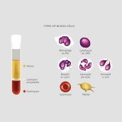 Basic Guide of Hemophilia. Un proyecto de Ilustración tradicional, Dirección de arte, Diseño editorial y Diseño gráfico de Daniel Belchí - 01.12.2017