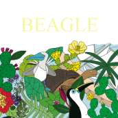 Colección Beagle. Shoe Design project by Paula Pérez Fernández - 01.19.2018