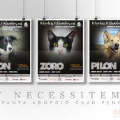Campanya publicitària d'adopció animals. Publicidade, e Design gráfico projeto de Montse Sala - 06.03.2018