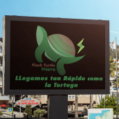 Branding Turtle Flash. Design, Br, ing & Identit project by Yhon Sastoque - 04.28.2018