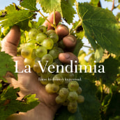 La Vendimia Ein Projekt aus dem Bereich Fotografie, Bildende Künste, Bildbearbeitung, Fotoretuschierung, Portfolioverwaltung und Concept Art von wil - 08.11.2018