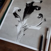 Mi Proyecto del curso: Introducción a la ilustración con tinta china. Un proyecto de Ilustración tradicional de caudapodo - 05.01.2019