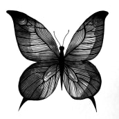 Black Mariposa • Proyecto personal • Ilustraciones con tinta china y rotulador. Ilustração tradicional projeto de laure barthe - 09.05.2019