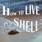 Gimaguas - How to live in a shell. Projekt z dziedziny Kino, film i telewizja, Film, Projektowanie mod i Realizacja audio-wideo użytkownika Biel Blancafort - 02.07.2019