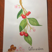 Mi Proyecto del curso: Ilustración botánica con acuarela. Un proyecto de Pintura a la acuarela de Alonso Lozano - 09.07.2019