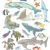 Animales de Galápagos, Inktober 2018. Ilustração tradicional, Colagem, Desenho, e Pintura em aquarela projeto de Estefania Santos Gallegos - 10.06.2019