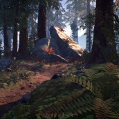 Redwood Forest. Videogames projeto de Alexander Campos - 01.09.2019