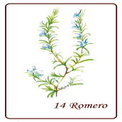 Mi Proyecto del curso: Ilustración botánica con acuarela Rueda de Flores. Un proyecto de Ilustración tradicional de Patricia Sueta - 02.09.2019