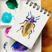 DIARIOS - MIS INSECTOS. Traditional illustration, and Watercolor Painting project by Paulina Maciel · Canela - 10.04.2019