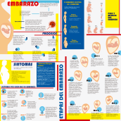 Infografía del Embarazo . Un proyecto de Diseño gráfico e Infografía de Natalia salas - 13.02.2020