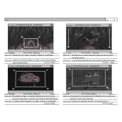 Storyboard. Un proyecto de Ilustración tradicional, Cine, vídeo, televisión, Cine, Stor y board de Una Ramona - 03.10.2018