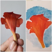 Primer prueba: proyecto de flor natural. Un proyecto de Pintura a la acuarela de Sinergia Multitienda - 03.03.2020