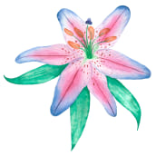 Mi Proyecto del curso: Ilustración botánica con acuarela. Watercolor Painting project by Jackie Uzcategui - 02.22.2020