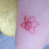 My project in Tattoo for Beginners course. Un proyecto de Diseño de tatuajes de Barbara Decrock - 06.04.2020